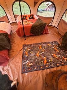 Farm stay belltent activities