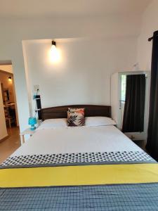 kola stays 2bhk vagator