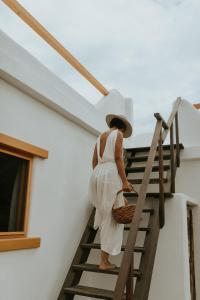 Villa Gardenia - Oceanfront Casa Cactus