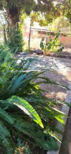 Recanto dos Maciotas