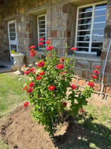 Luxurious African Farm Cottage stay in Vryburg