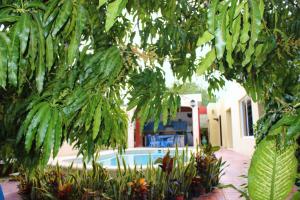 Casa Nicte-ha Valladolid