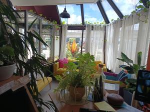 Hotels Hotel Vauban : photos des chambres