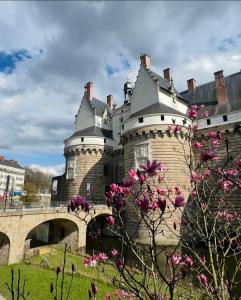 Appartements NOZA Appartement 65m2, 2 chambres - RDC, Parking gratuit, Nantes agglo Reze : Appartement 2 Chambres