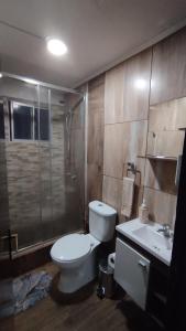 Departamento en Pucón