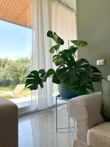 The Pavillion oasi a Cannizzaro