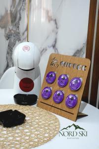 Nord Ski - SPA apartman Kraljevi Čardaci