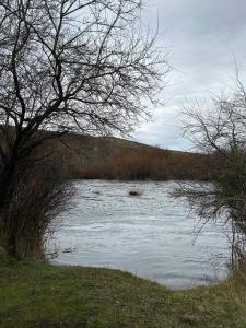 Hermosa cabaña a orillas del rio