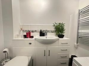 Exquisite 2Bed Near Transport Link & Bluewater Mall