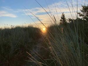 5 person holiday home in Væggerløse-By Traum