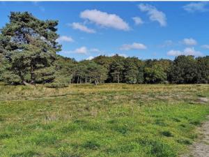 5 person holiday home in Rørvig-By Traum