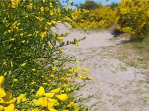 5 person holiday home in Rørvig-By Traum