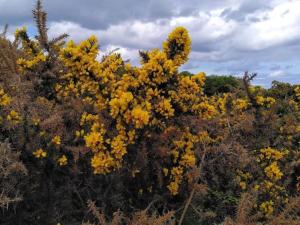 5 person holiday home in Rørvig-By Traum