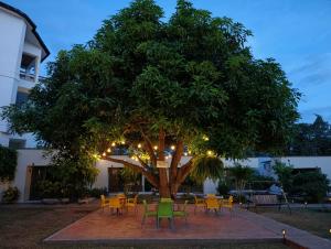 Hotel TACALOA INN EXPERIENCE