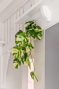 Boutique Double Room Near Light Rail in North Parramatta - Shared Bathroom