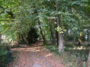 Maisons de vacances House in Burgundy with Private Pool : photos des chambres