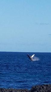 Family Villa at Las Galeras, Samaná