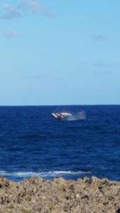 Family Villa at Las Galeras, Samaná