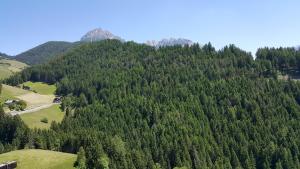 Gasthof La Pli Apartments