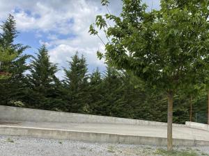 Campings Mobil home 6 pers avec terrasse, 3 chambres - API-1-52-651 : photos des chambres