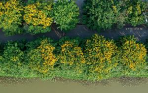 Sunday Home Ecopark - 2BR bathtub apartment with nice view