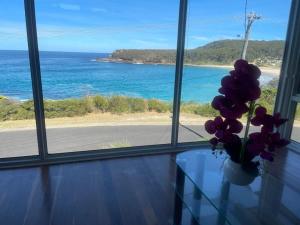 Stunning Ocean Views - overlooking Merry Beach