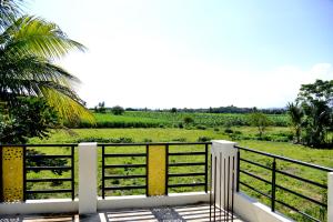 Coconut Homestay Hampi
