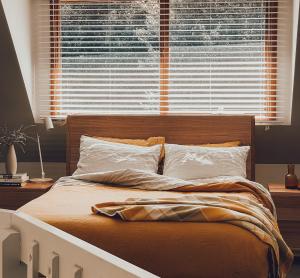 Forest Hideaway - Silverwood