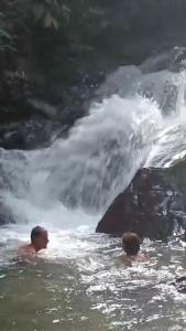 Dendi guest house Bukit lawang trekking