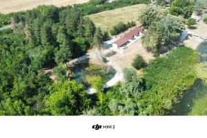 Вили Янкови