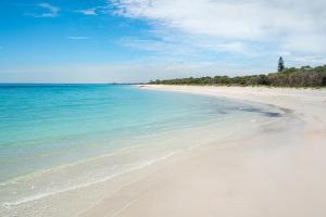 Jetty Jaunt - Busselton
