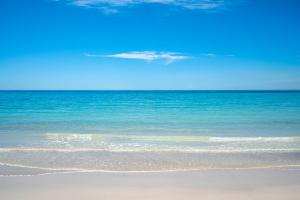 Jetty Jaunt - Busselton