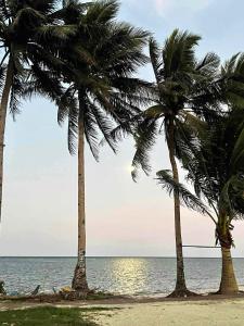 Ventoso Hotel Boracay