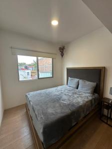 Charming apartment with balcony in Condesa