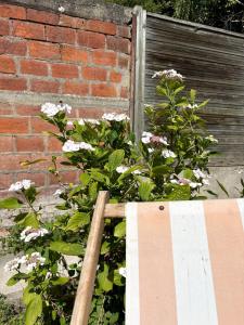Maison charmante - 10 min de Paris