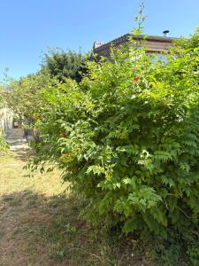 Maison charmante - 10 min de Paris