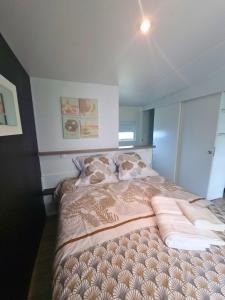 Campings Mobilhome 2 sdb, barbecue, proche mer, piscine : photos des chambres