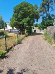 Maisons de vacances Villa Bassin d-Arcachon : photos des chambres