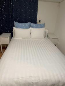 Ikebukuro駅から徒歩8分最大8人木木旧館