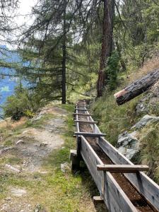 Petit Appart de Charme Eau chaude solaire Rénovation 2021 Wifi disponible Belvedere 5