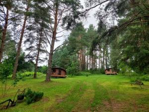 Hõbesoo Puhkekeskus