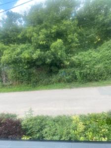 Two double bedroom Self contained annexe