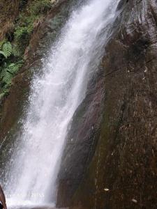 SilverCloud Homestay