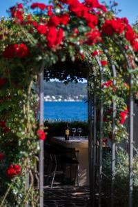 Waterfront Apartment