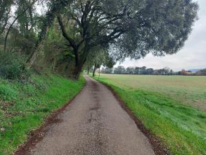 Studio au calme les hirondelles