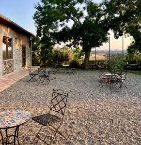 Fattoria della Sabatina