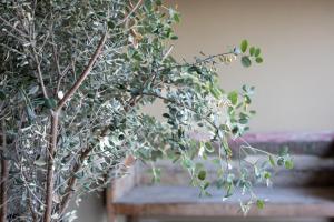 Hotels La Florentine : photos des chambres