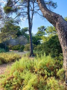 Villas Maison cosy entre mer et garrigue : photos des chambres