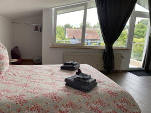 B&B / Chambres d'hotes Le clos des Pommiers : photos des chambres