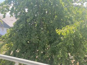 B&B / Chambres d'hotes Le clos des Pommiers : photos des chambres